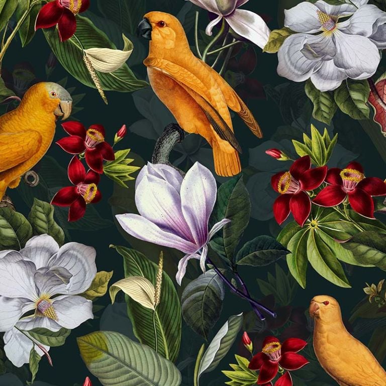 Yellow Parrots In Tropical Flower Magnolia Jungle – on petrol