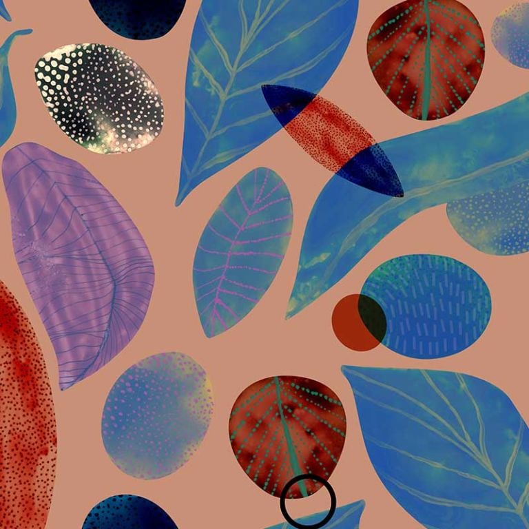 Spring Leaf – Autumn