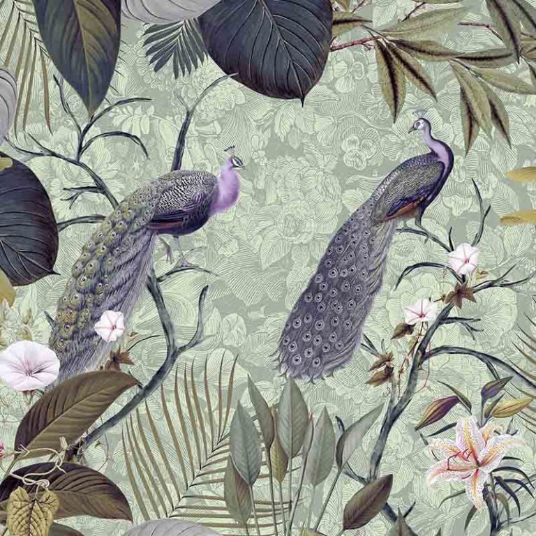 The Peacock Jungle – Sunset