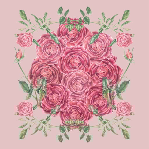 Beautiful Roses – Mural Blush