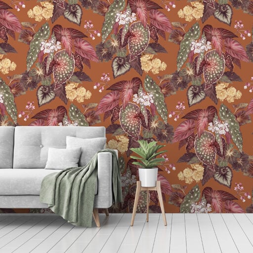 Begonia – Terracotta