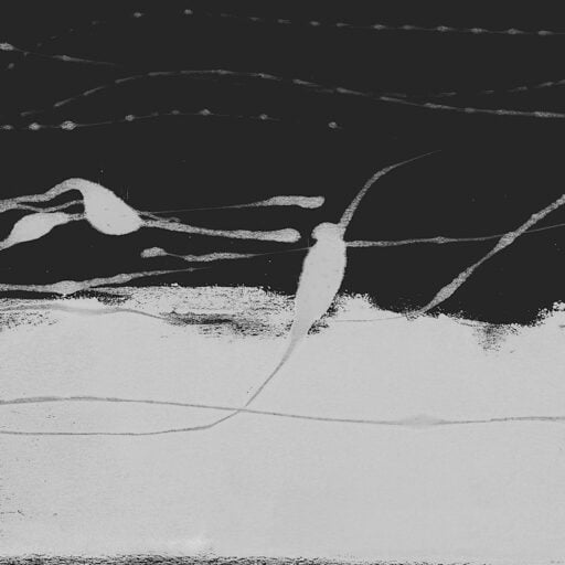 Chromatic Impressions