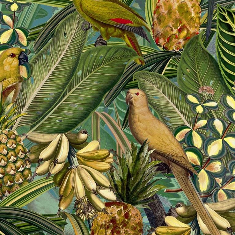 Colorful Birds in Jungle with Bananas – Dark Teal and Green