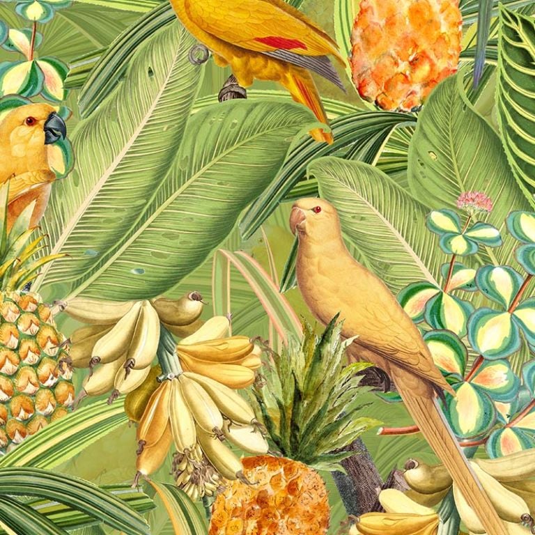 Colorful Birds in Jungle with Bananas