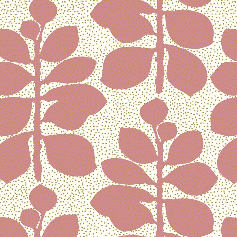 Crassula Lime Rose Parchment