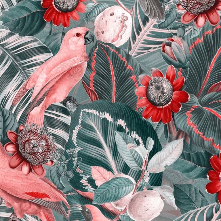 De Saturated Parrots in Passiflora Jungle