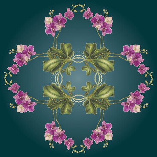 Exotic Orchid Botanical Mural Teal
