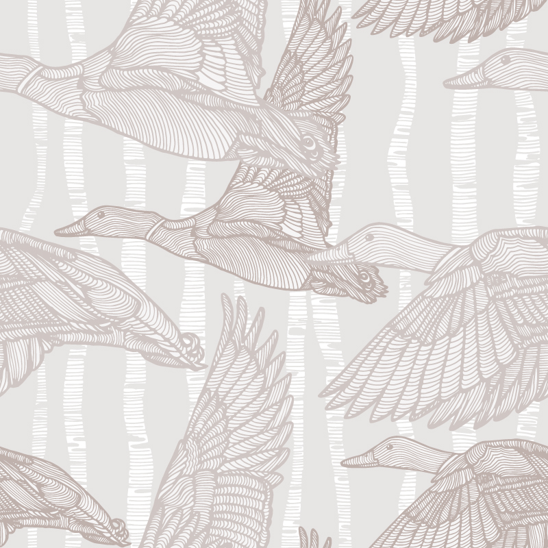 Mallards Calling Autumn