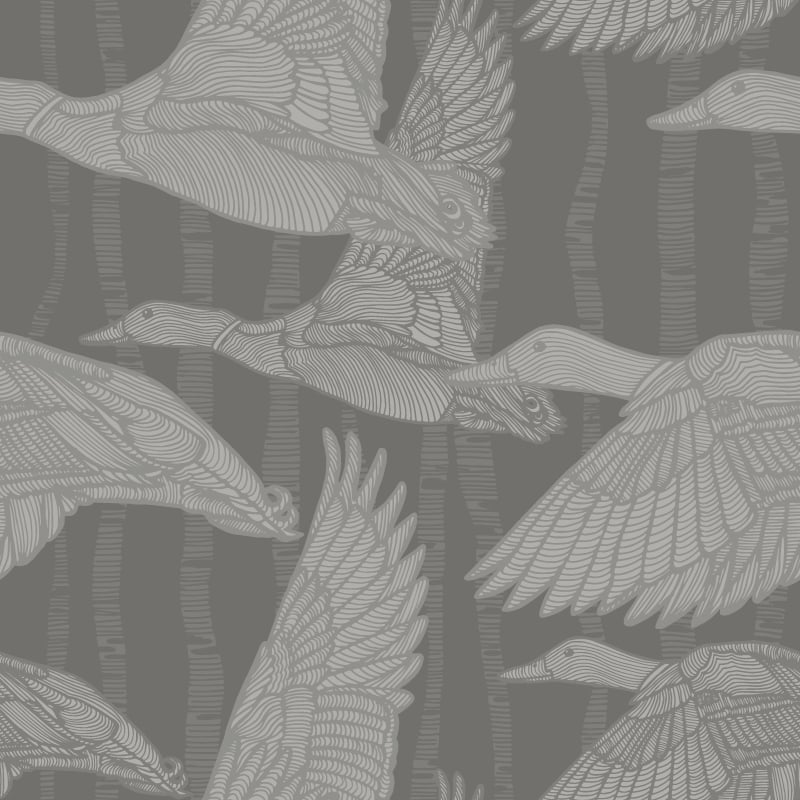 Mallards Calling Dusk