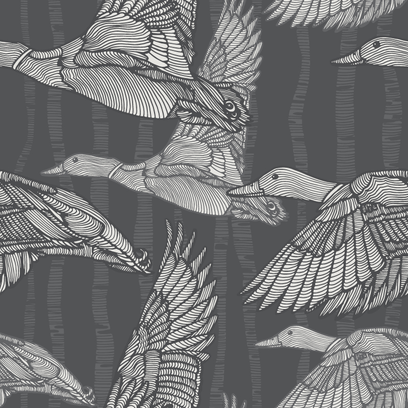 Mallards Calling Mono