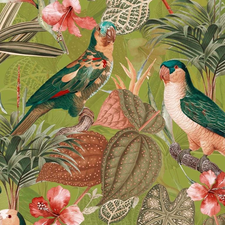 Parrots with Orchids and Hibiscus in Jungle – Orange