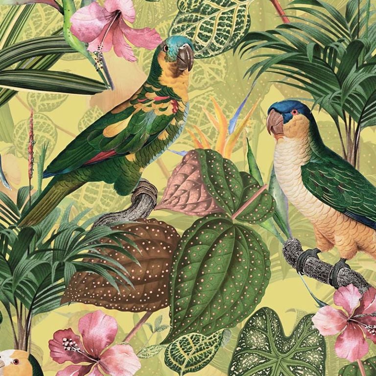 Parrots with Orchids and Hibiscus in Jungle – Pale