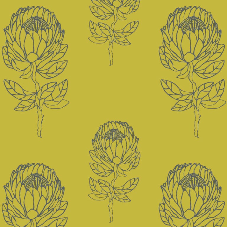 Protea – Chartreuse
