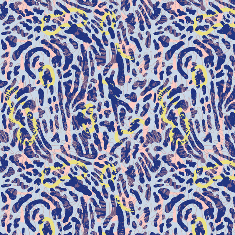 Midnight Bliss Backyard – Apricot