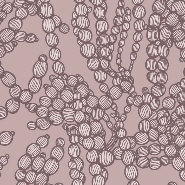 Sea Beads Grande Cove