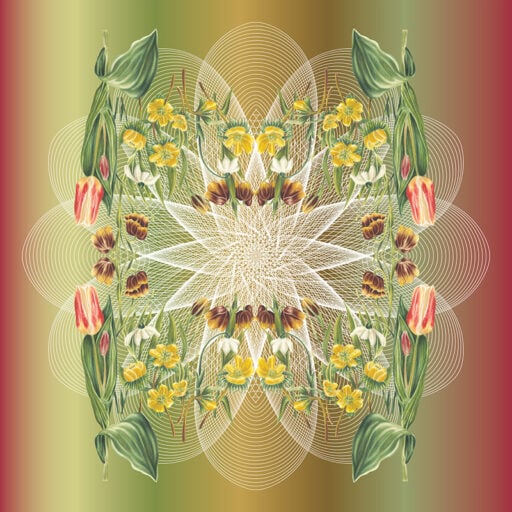 Spring Floral Spiral Botanical Mural Autumn