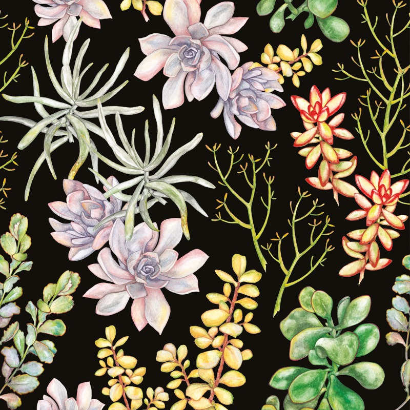 Succulent Garden Black