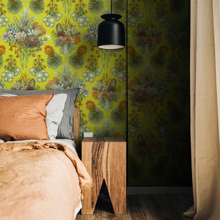 Succulence – Colourful