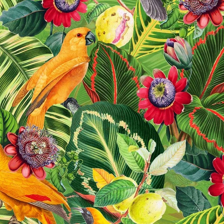 Yellow Parrots in Jungle with Passiflora