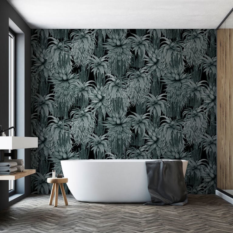 Dancing Aloes – Black And White